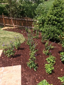 cedar mulch landscaping